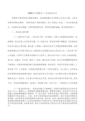 2023年专题教育个人检查剖析发言.docx