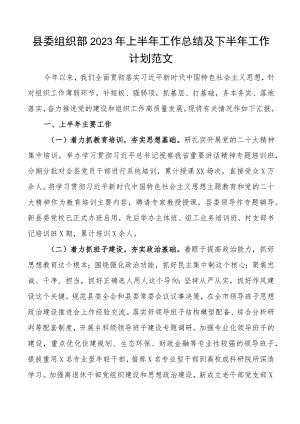 2023年上半年工作总结及下半年计划汇报报告 .docx