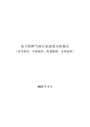 电子特种气体行业深度分析：竞争格局、市场现状、机遇挑战、未来趋势.docx