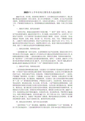 2023年上半年市局主要负责人述法报告.docx
