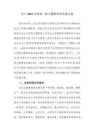 关于2023开展第二批主题教育的实施方案.docx