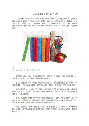 二年级小学生暑假计划怎么写.docx