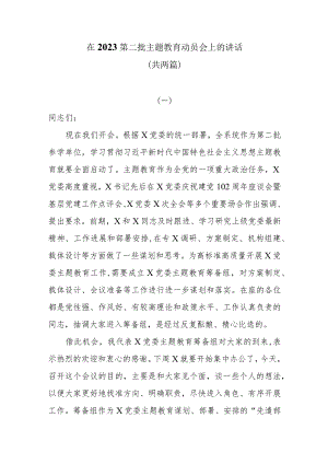 在2023第二批主题教育动员会上的讲话共两篇.docx