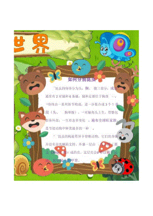 昆虫手抄报简单又可爱.docx