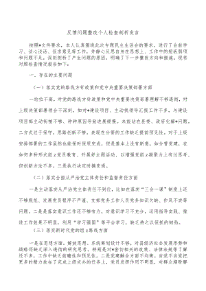 反馈问题整改个人检查剖析发言.docx