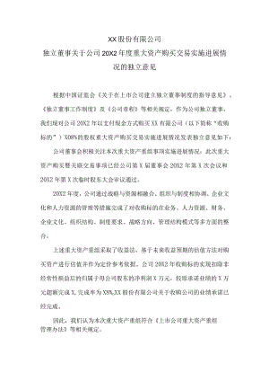 XX股份有限公司独立董事关于公司20X2年度重大资产购买交易实施进展情况的独立意见.docx