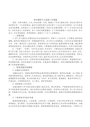 教师个人专业发展三年规划(青年教师).docx