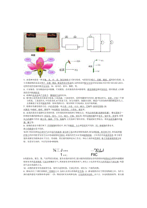 (完整版)新教科版四年级科学下册复习知识点.docx