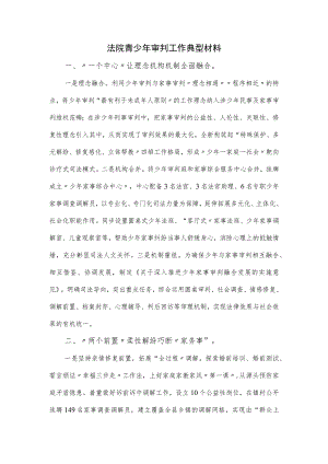 法院青少年审判工作典型材料.docx