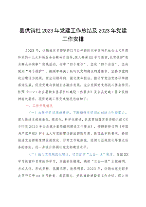 县供销社2023年党建工作总结及2023年党建工作安排.docx