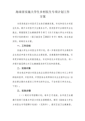 海南省实施大学生乡村医生专项计划工作方案.docx