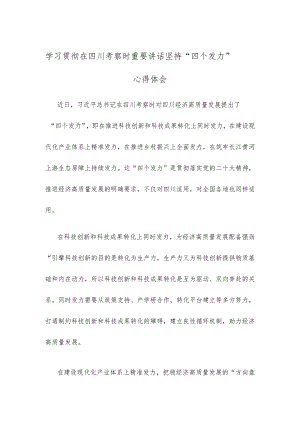 学习贯彻在四川考察时重要讲话坚持“四个发力”心得体会.docx