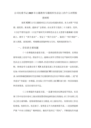 公司纪委书记2023年主题教育专题组织生活会上的个人对照检查材料.docx