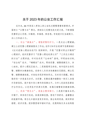 关于2023年的公安工作汇报.docx