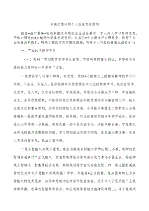 乡镇反馈问题个人检查发言提纲.docx