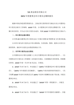 XX黄金股份有限公司202X年度董事会审计委员会履职报告.docx