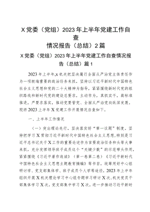 x党委(党组)2023年上半年党建工作自查情况报告(总结)2篇.docx