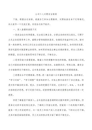 公司个人对照发言提纲.docx