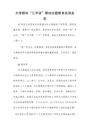 大学抓好“三字诀” 推动主题教育走深走实.docx