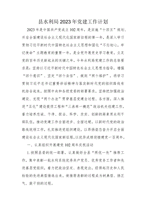 县水利局2023年党建工作计划.docx