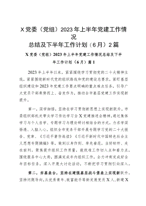 x党委(党组)2023年上半年党建工作情况总结及下半年工作计划(6月)2篇.docx