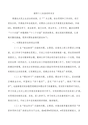 副职个人检查剖析发言.docx