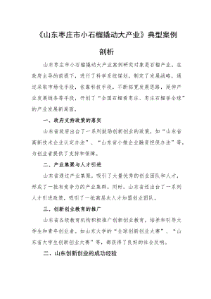 《山东枣庄市小石榴撬动大产业》典型案例剖析.docx