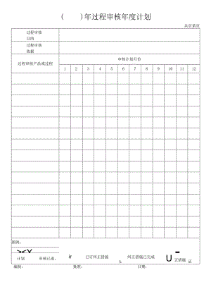 过程审核表单.docx