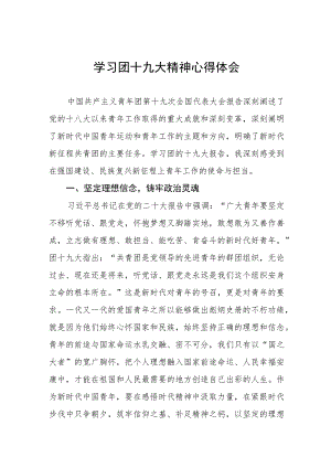 党员干部学习团十九大精神心得体会四篇.docx