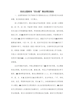党史主题教育“回头看”整改情况报告.docx