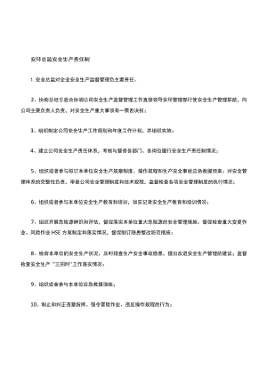 05-2020年度安全生产责任制(安全总监).docx
