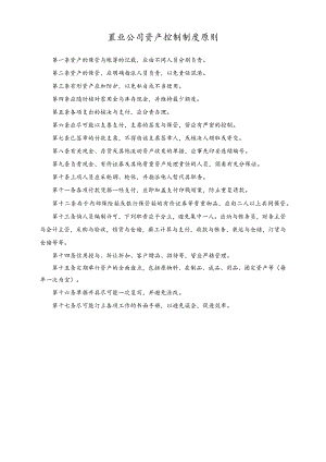 置业公司资产控制制度原则.docx