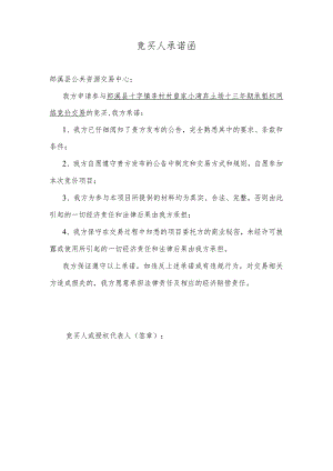 竞买人承诺函.docx