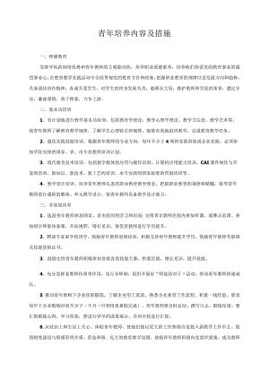 青年培养内容及措施.docx