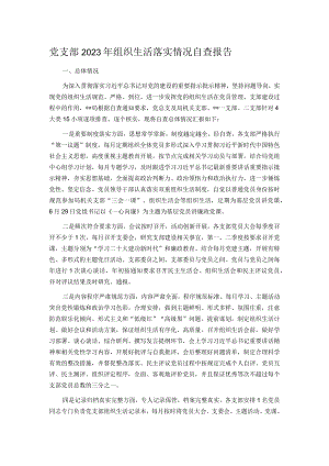 党支部2023年组织生活落实情况自查报告.docx