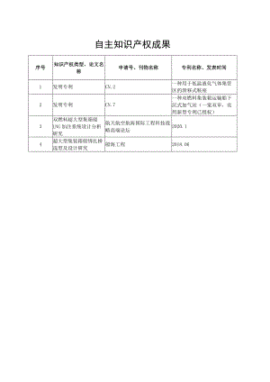 自主知识产权成果.docx