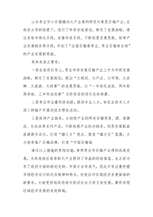 山东枣庄市小石榴撬动大产业案例剖析.docx