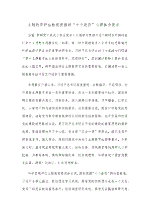 主题教育评估检视把握好“十个是否”心得体会发言.docx