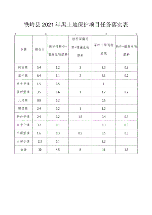 铁岭县2021年黑土地保护项目任务落实表.docx
