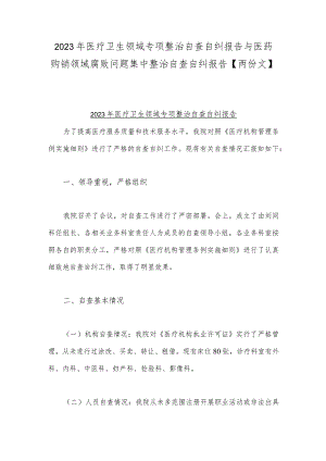 2023年医疗卫生领域专项整治自查自纠报告与医药购销领域腐败问题集中整治自查自纠报告【两份文】.docx