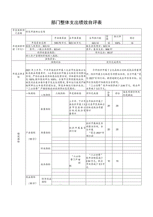 部门整体支出绩效自评表.docx