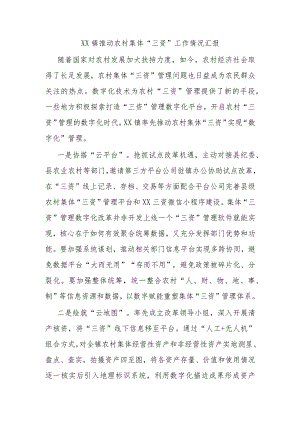 XX镇推动农村集体“三资”工作情况汇报.docx