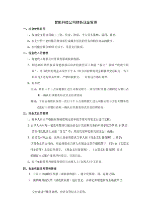 智能科技公司财务现金管理.docx
