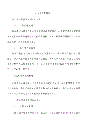 人力资源管理概述.docx