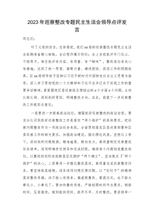 2023年巡察整改专题民主生活会领导点评发言1300字.docx