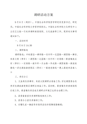 调研活动方案.docx