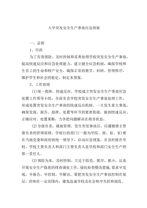 大学突发安全生产事故应急预案.docx