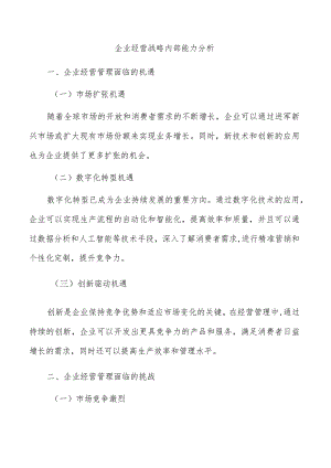 企业经营战略内部能力分析.docx