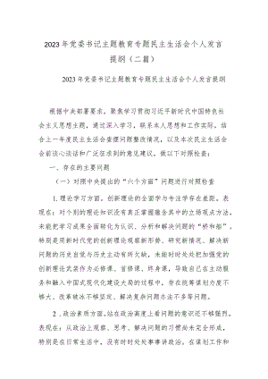 2023年党委书记主题教育专题民主生活会个人发言提纲(二篇).docx