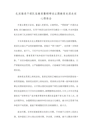 扎实推进干部队伍教育整顿带动主题教育走深走实心得体会.docx